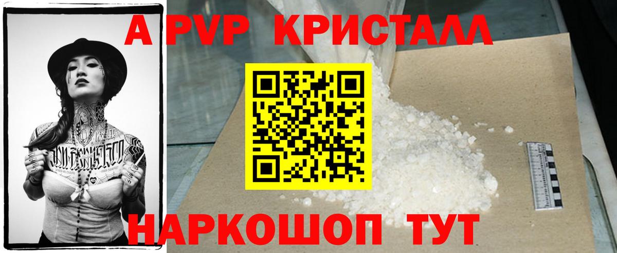 A PVP СК КРИС Советск