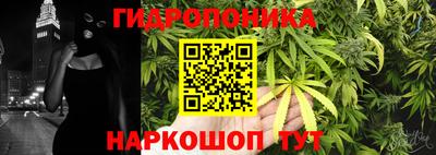 МДПВ Пенза