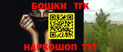 МДПВ Пенза