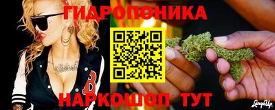 МДПВ Пенза