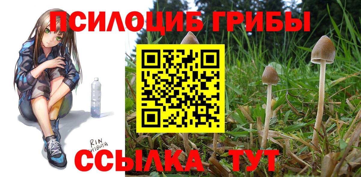 Галлюциногенные грибы Magic Shrooms  закладки  Советск  Вход с VPN 