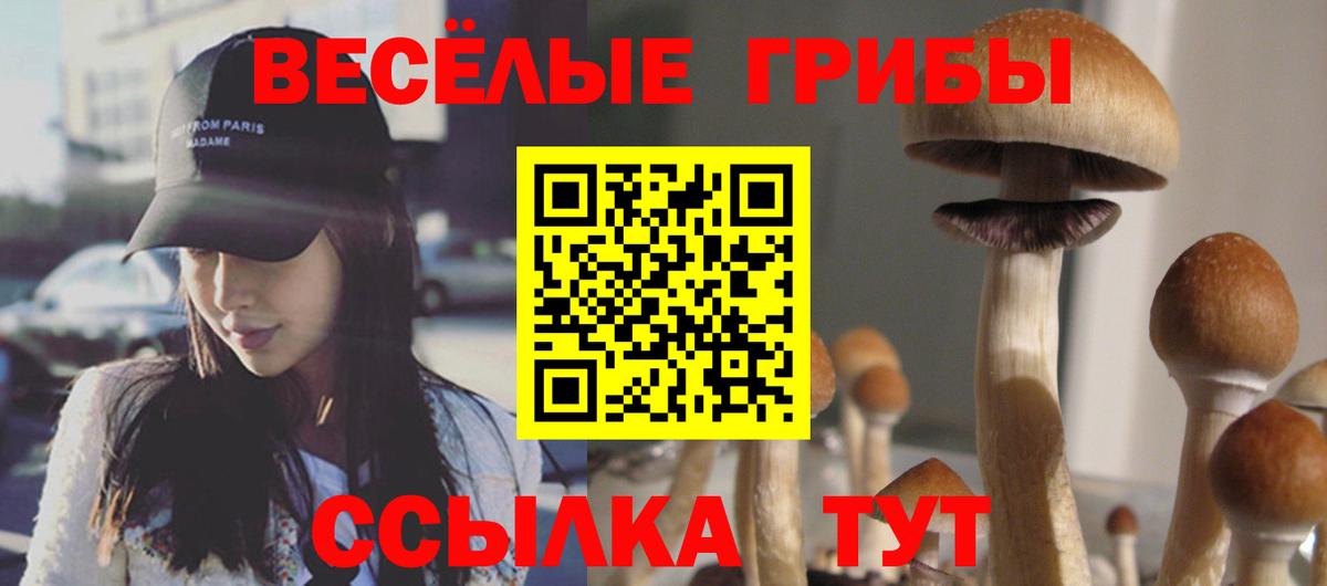Псилоцибиновые грибы MAGIC MUSHROOMS Советск